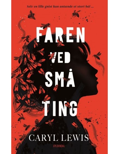 Faren ved små ting