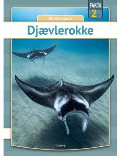 Djævlerokke