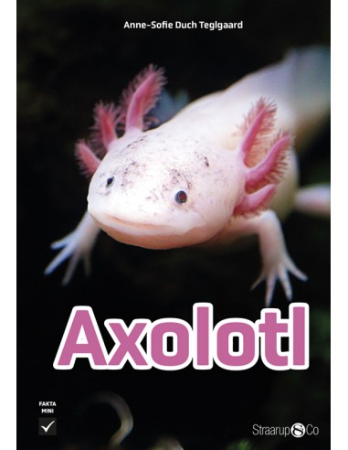 Axolotl