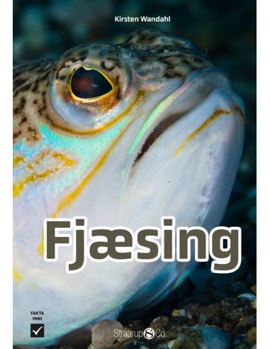 Fjæsing