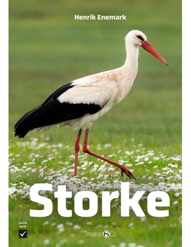 Storke