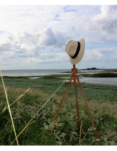 Theodor Philipsens Saltholm...