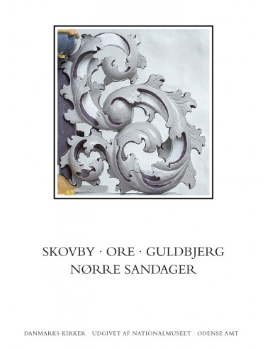 Danmarks Kirker. Odense Amt. Kirkerne...