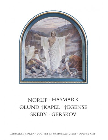 Danmarks Kirker. Odense Amt. Kirkerne...