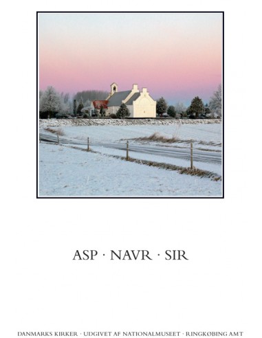 Danmarks kirker. Ringkøbing Amt....