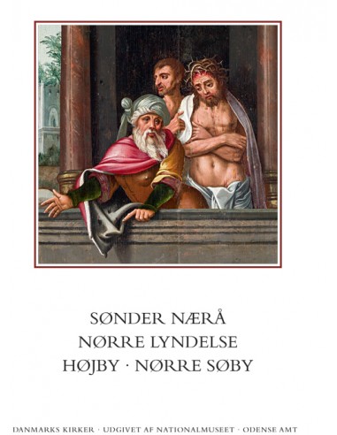 Danmarks kirker. Odense Amt. Kirkerne...