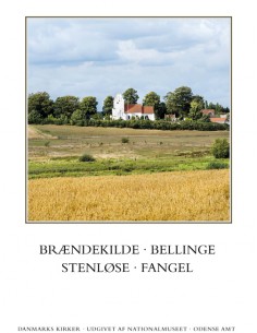 Danmarks kirker. Odense...