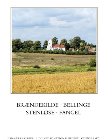 Danmarks kirker. Odense Amt....