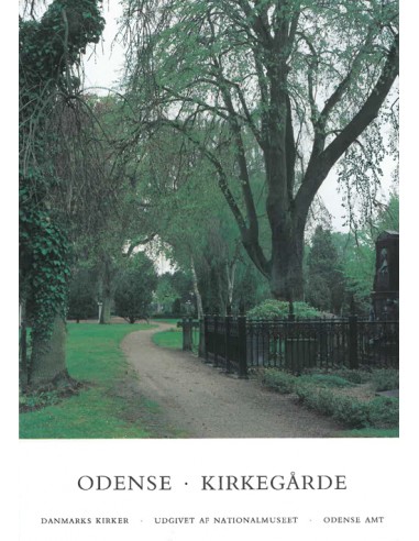 Danmarks kirker. Odense Amt....