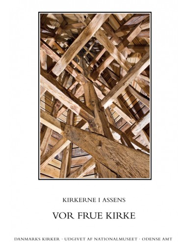 Danmarks kirker. Odense Amt. Kirkerne...