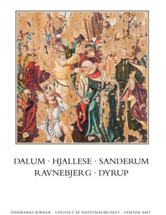 Danmarks kirker. Odense...