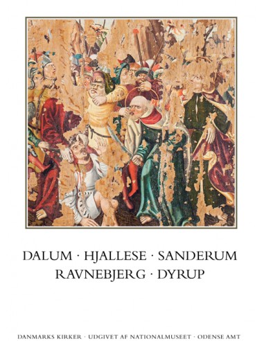 Danmarks kirker. Odense Amt. Kirkerne...