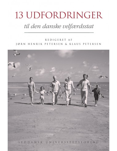 13 udfordringer til den danske...