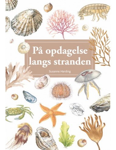 På opdagelse langs stranden, display...