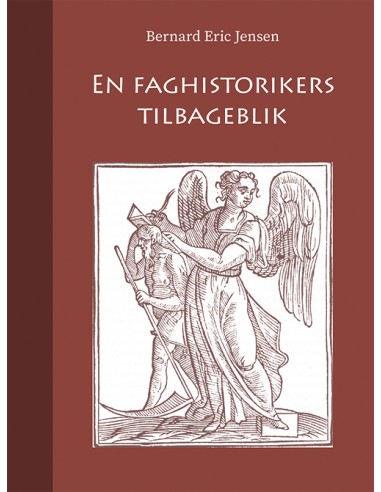 En faghistorikers tilbageblik