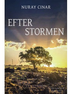 Efter stormen