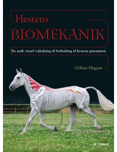 Hestens Biomekanik
