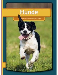 Hunde