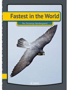 Fastest in the world