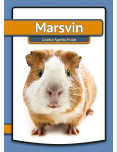 Marsvin