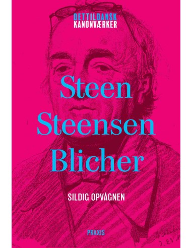 Steen Steensen Blicher: Sildig opvågnen