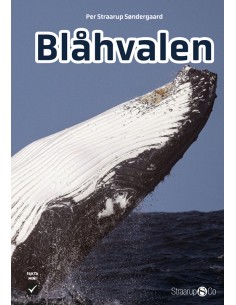 Blåhvalen