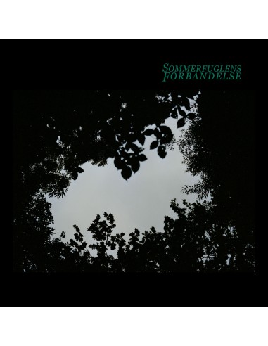 Sommerfuglens forbandelse