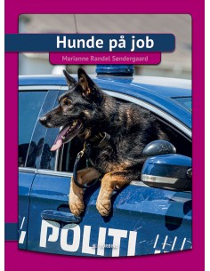 Hunde på job