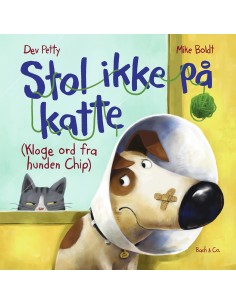 Stol ikke på katte