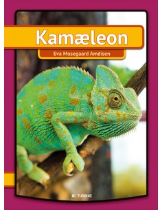 Kamæleon