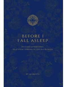 Before I Fall Asleep