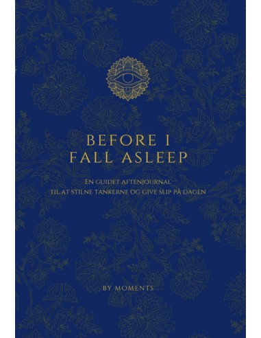 Before I Fall Asleep