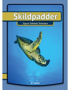 Skildpadder