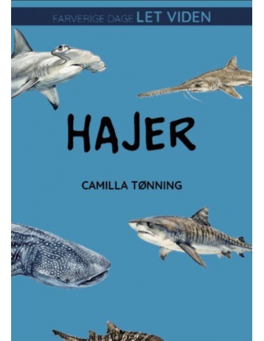 Hajer