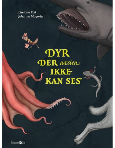Dyr der næsten ikke kan ses