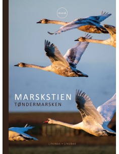 Marskstien