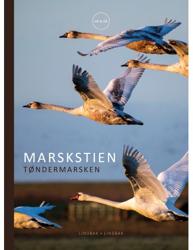 Marskstien