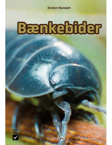 Bænkebider