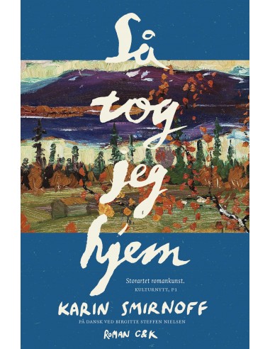 Så tog jeg hjem