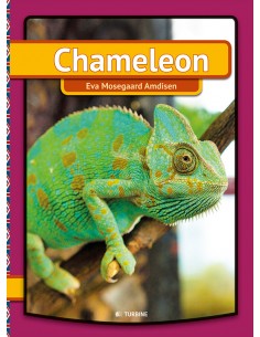 Chameleon