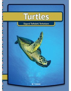 Turtles