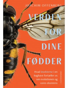 Verden for dine fødder