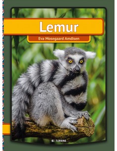 Lemur (eng. version)