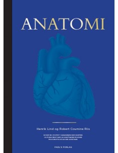 Anatomi