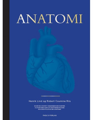 Anatomi