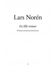En lille roman