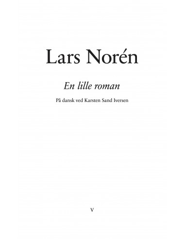 En lille roman