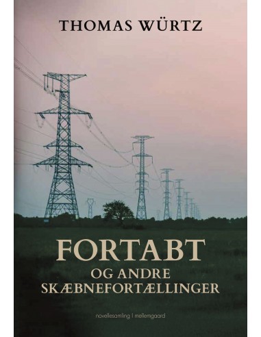Fortabt og andre skæbnefortællinger