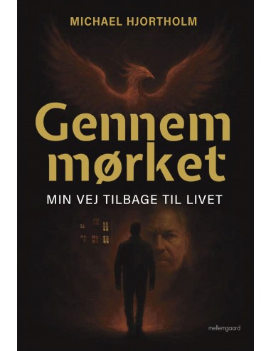 Gennem mørket