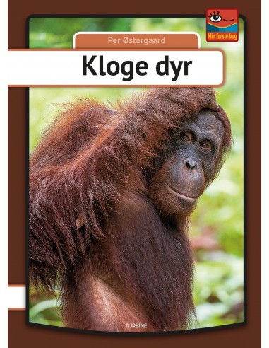 Kloge dyr